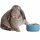 rabbit-bowls.jpg